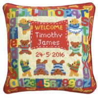 Needlepoint sampler kit