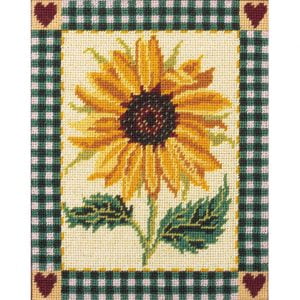 Shaker Sunflower