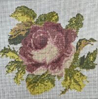 Alternative view of Rose