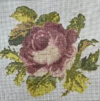 Alternative view of Rose
