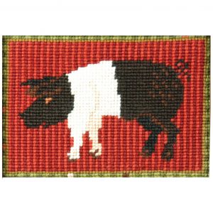 Needlepoint kit