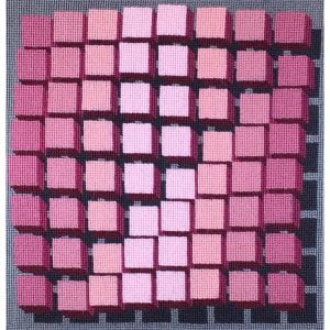 Charted needlepoint kit