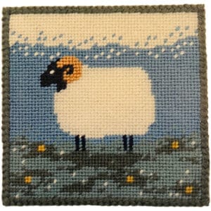 Farm Sheep