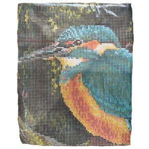 Kingfisher - Image 2