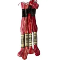 Anchor Stranded Cotton - 4 variegated skeins (1201,1202, 1203,1204)